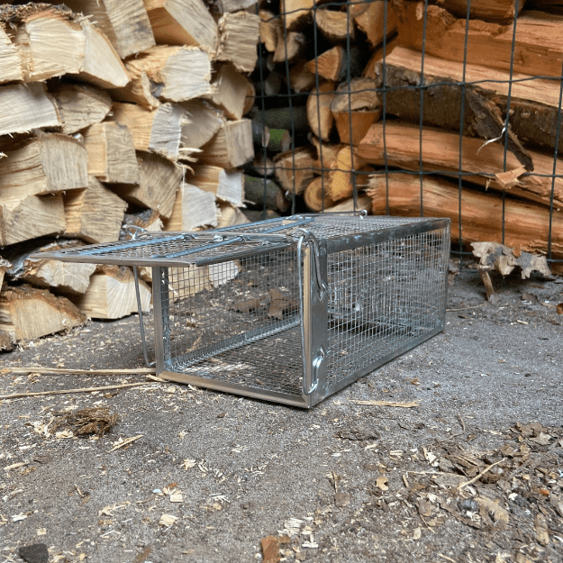 Metalen kooi muizen en ratten vangen val