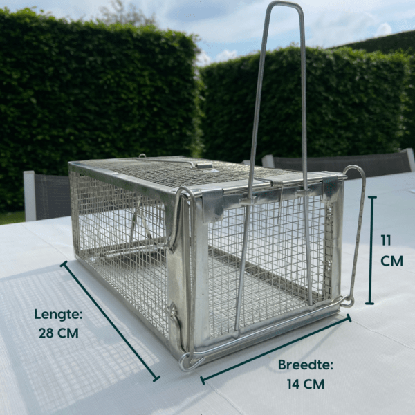 Metalen diervriendelijke muizen- en rattenval, hygiënisch en herbruikbaar, met snelle reactietijd voor effectieve ongediertebestrijding.